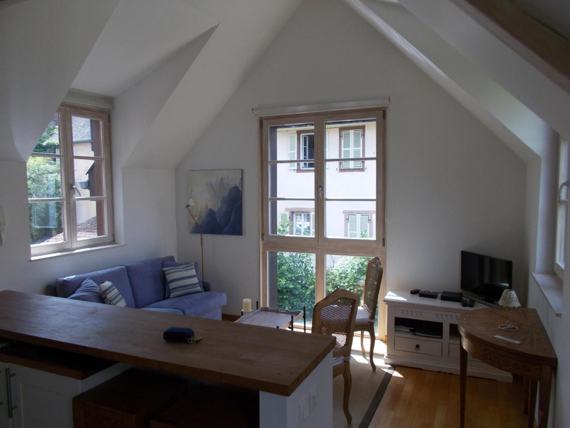 Petite Venise Daire Colmar Dış mekan fotoğraf